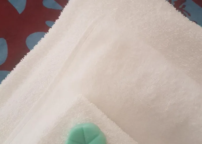 بيت ضيافة Parfumerie 5 Terre